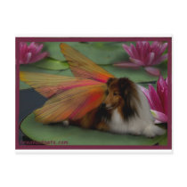 Sheltie Fairy on a Lily Pad. w Border psd Post Cards