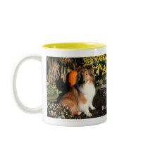 Sheltie Grace Mug mugs