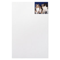 Sheltie Group Customized Stationery