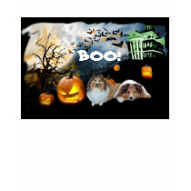 Sheltie Halloween Kids Unisex T-Shirt by normagolden Sheltie Halloween Kids Unisex T-Shirt
