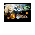 Sheltie Halloween Ladies T-Shirt