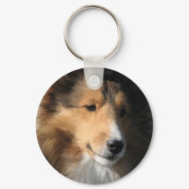 Sheltie head study keychain