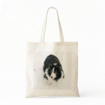 Sheltie in Snow Bag by bluerabbit Sheltie in Snow Bag