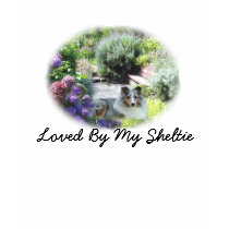 Sheltie Ladies T-Shirt
