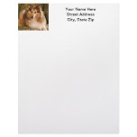 Sheltie Personalized Letterhead