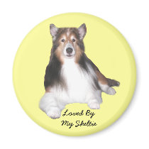 Sheltie Magnet by normagolden Sheltie Magnet