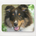 Sheltie Mousepad by ri43210 Sheltie Mousepad