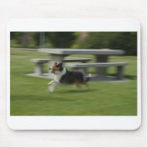 Sheltie mousepad