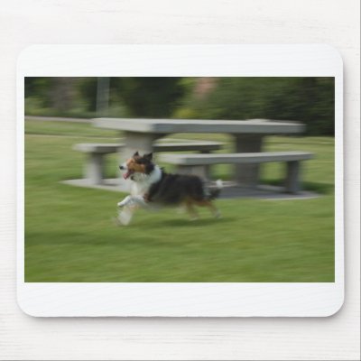 Sheltie mousepad by elisabethkonopacki