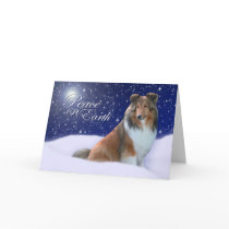Sheltie Peace Christmas Card cards
