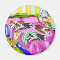 Sheltie Pink Comfort magnets