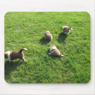 Sheltie pups running away mousepad by showdogs