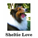 sheltie, Sheltie Love, Shetland Sheepdog t-shirts by janemz sheltie, Sheltie Love, Shetland Sheepdog t-shirts