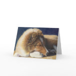 Sheltie Shetland Sheepdog Greeting Card