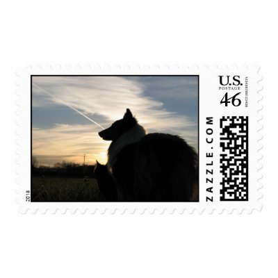Sheltie silhouette on a stamp by showdogs