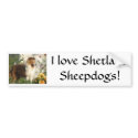 Sheltie standing in flowers bumper sticker bumper stickers
