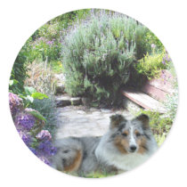 Sheltie Sticker