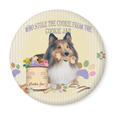 Sheltie Stole The Cookie From The Cookie Jar magnet