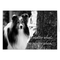 Sheltie Support Card cards