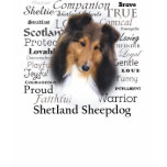 sheltie, shetland, sheepdog, shelty, miniature,