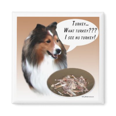 Sheltie Turkey Magnet by GreyWolfCreation