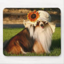 Sheltie with Hat mousepads
