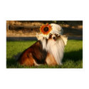 Sheltie with Hat posters by angelajhill Sheltie with Hat posters