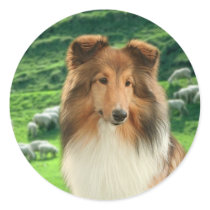 Shelties Lead #2 Stickers by SimplyShelties Shelties Lead #2 Stickers