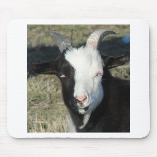 Shelton Goat Farm Mousepad