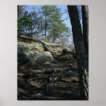 Sheltowee Trace Posters