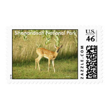 Shenandoah National Park Postage Stamp