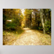 Shenandoah Valley Posters