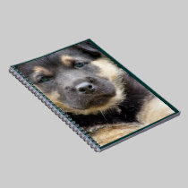 Shep Dog notebooks
