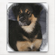 Shep puppy mousepad 3 by Petcetera Shep puppy mousepad 3