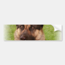 Shepherd Dog Bumper Sticker