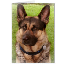 Shepherd Dog Greeting Card
