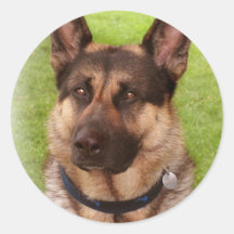 Shepherd Dog Sticker