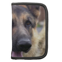 Shepherd Folio Organizer