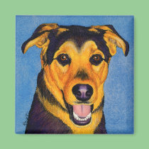 Shepherd Mix Dog Magnet - "Caesar" magnets