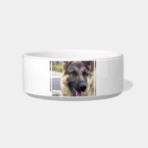 Shepherd Pet Bowl