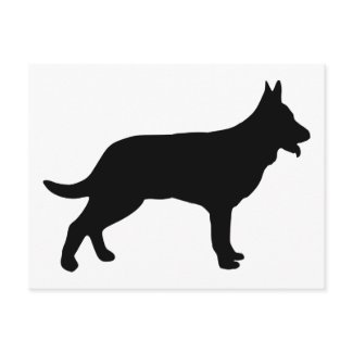 Shepherd postcard
