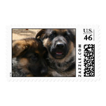 Shepherd Pupies Postage Stamp