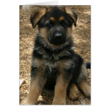 Shepherd Puppy  Greeting Card