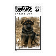 Shepherd Puppy  Postage Stamp