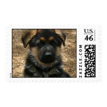 Shepherd Puppy  Postage Stamp