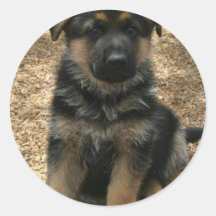 Shepherd Puppy  Sticker