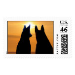 Shepherd Sundown Postage