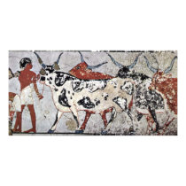 Shepherd With Bovine By Maler Der Grabkammer Des Z Picture Card