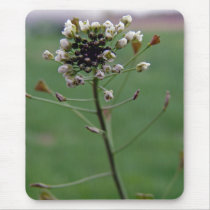 Shepherd's Purse Mouse Mats