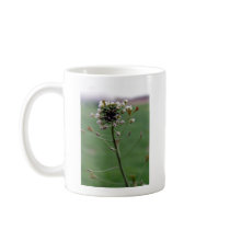 Shepherd's Purse Mug
